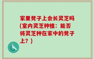 家里凳子上会长灵芝吗(室内灵芝种植：能否将灵芝种在家中的凳子上？)