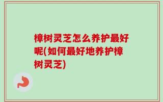 樟树灵芝怎么养护最好呢(如何最好地养护樟树灵芝)
