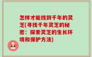 怎样才能找到千年的灵芝(寻找千年灵芝的秘密：探索灵芝的生长环境和保护方法)