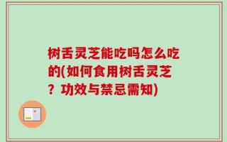 树舌灵芝能吃吗怎么吃的(如何食用树舌灵芝？功效与禁忌需知)