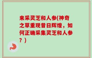 来采灵芝和人参(神奇之草重现昔日辉煌，如何正确采集灵芝和人参？)
