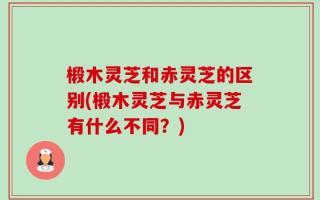 椴木灵芝和赤灵芝的区别(椴木灵芝与赤灵芝有什么不同？)