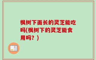 枫树下面长的灵芝能吃吗(枫树下的灵芝能食用吗？)