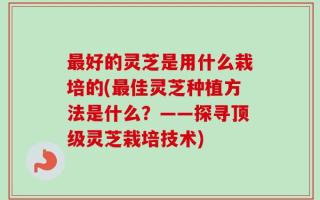 最好的灵芝是用什么栽培的(最佳灵芝种植方法是什么？——探寻顶级灵芝栽培技术)