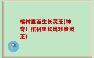 棺材里面生长灵芝(神奇！棺材里长出珍贵灵芝)