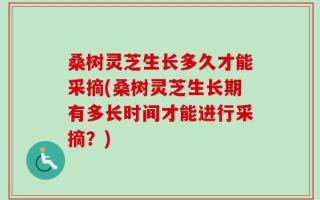 桑树灵芝生长多久才能采摘(桑树灵芝生长期有多长时间才能进行采摘？)