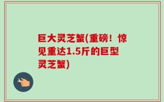 巨大灵芝蟹(重磅！惊见重达1.5斤的巨型灵芝蟹)