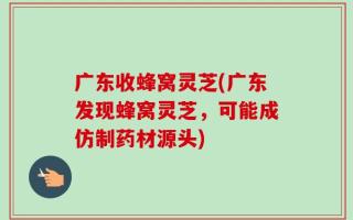 广东收蜂窝灵芝(广东发现蜂窝灵芝，可能成仿制药材源头)