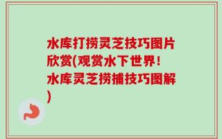 水库打捞灵芝技巧图片欣赏(观赏水下世界！水库灵芝捞捕技巧图解)