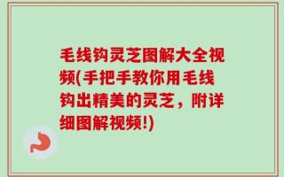 毛线钩灵芝图解大全视频(手把手教你用毛线钩出精美的灵芝，附详细图解视频!)