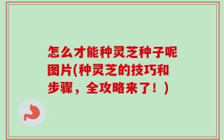 怎么才能种灵芝种子呢图片(种灵芝的技巧和步骤，全攻略来了！)