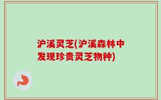 沪溪灵芝(沪溪森林中发现珍贵灵芝物种)