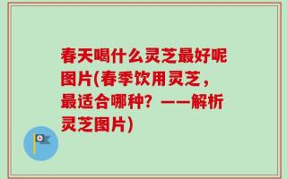 春天喝什么灵芝最好呢图片(春季饮用灵芝，最适合哪种？——解析灵芝图片)