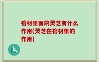 棺材里面的灵芝有什么作用(灵芝在棺材里的作用)