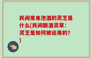 民间用来泡酒的灵芝是什么(民间酿酒灵草：灵芝是如何被运用的？)
