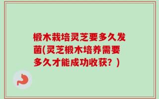 椴木栽培灵芝要多久发菌(灵芝椴木培养需要多久才能成功收获？)