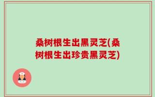 桑树根生出黑灵芝(桑树根生出珍贵黑灵芝)