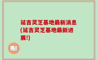 延吉灵芝基地最新消息(延吉灵芝基地最新进展!)