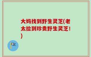 大妈找到野生灵芝(老太捡到珍贵野生灵芝！)