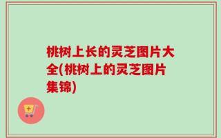 桃树上长的灵芝图片大全(桃树上的灵芝图片集锦)