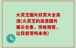 火灵芝图片欣赏大全高清(火灵芝的高清图片展示合集，惊艳视觉，让你感受所未有)