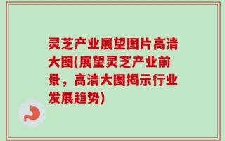 灵芝产业展望图片高清大图(展望灵芝产业前景，高清大图揭示行业发展趋势)