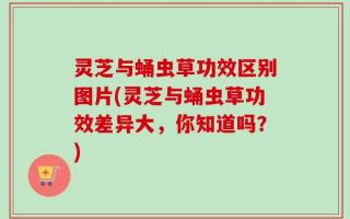 灵芝与蛹虫草功效区别图片(灵芝与蛹虫草功效差异大，你知道吗？)