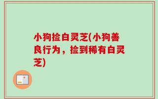 小狗捡白灵芝(小狗善良行为，捡到稀有白灵芝)