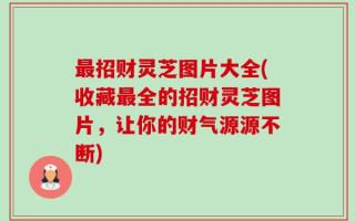 最招财灵芝图片大全(收藏最全的招财灵芝图片，让你的财气源源不断)