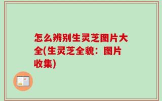 怎么辨别生灵芝图片大全(生灵芝全貌：图片收集)