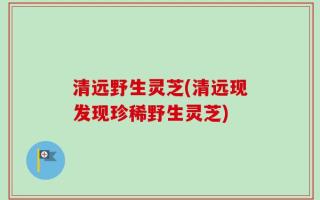 清远野生灵芝(清远现发现珍稀野生灵芝)