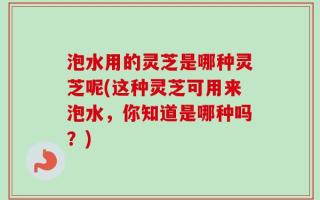 泡水用的灵芝是哪种灵芝呢(这种灵芝可用来泡水，你知道是哪种吗？)