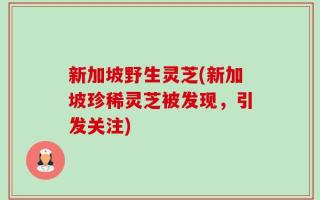 新加坡野生灵芝(新加坡珍稀灵芝被发现，引发关注)