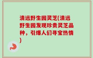 清远野生园灵芝(清远野生园发现珍贵灵芝品种，引爆人们寻宝热情)