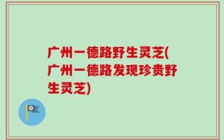 广州一德路野生灵芝(广州一德路发现珍贵野生灵芝)