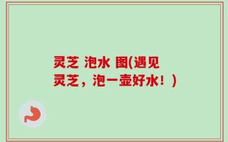 灵芝 泡水 图(遇见灵芝，泡一壶好水！)