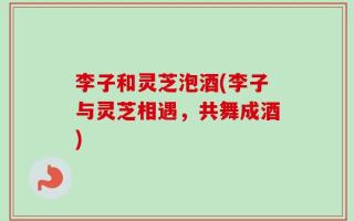 李子和灵芝泡酒(李子与灵芝相遇，共舞成酒)
