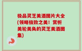 极品灵芝美酒图片大全(领略极致之美！赏析美轮美奂的灵芝美酒图集)