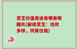 灵芝价值用途有哪些呢图片(解读灵芝：功效多样，何用往哉)