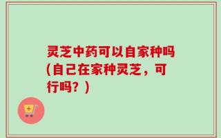灵芝中药可以自家种吗(自己在家种灵芝，可行吗？)