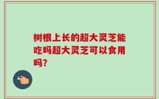 树根上长的超大灵芝能吃吗超大灵芝可以食用吗？