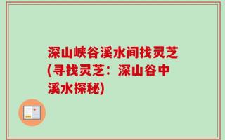 深山峡谷溪水间找灵芝(寻找灵芝：深山谷中溪水探秘)