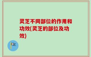 灵芝不同部位的作用和功效(灵芝的部位及功效)