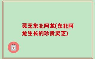灵芝东北阿龙(东北阿龙生长的珍贵灵芝)
