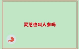 灵芝也叫人参吗
