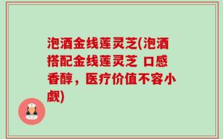泡酒金线莲灵芝(泡酒搭配金线莲灵芝 口感香醇，医疗价值不容小觑)
