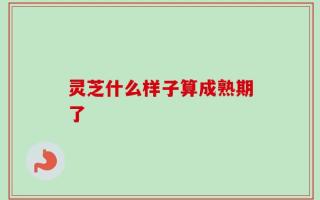 灵芝什么样子算成熟期了