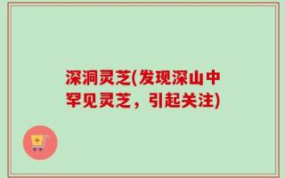 深洞灵芝(发现深山中罕见灵芝，引起关注)