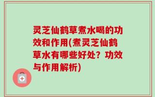 灵芝仙鹤草煮水喝的功效和作用(煮灵芝仙鹤草水有哪些好处？功效与作用解析)