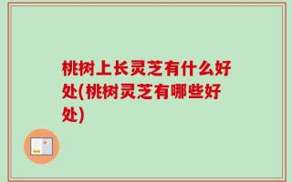 桃树上长灵芝有什么好处(桃树灵芝有哪些好处)